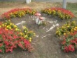 Молодые воткинцы создают свой бульвар